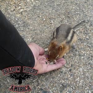 Meet your Posher, Suzanne